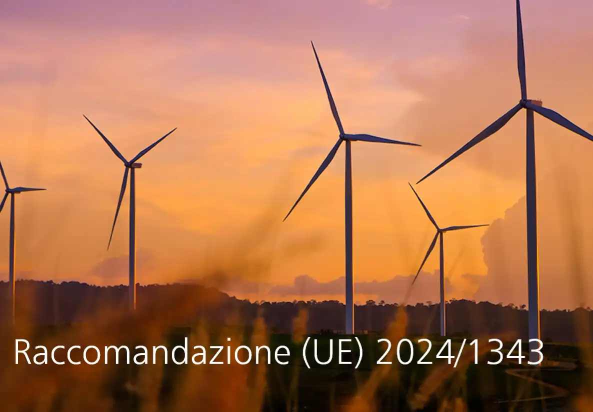 Raccomandazione UE 2024 1343 Raccomandazione UE 2024 1343