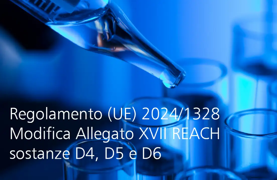 Regolamento UE 2024 1328