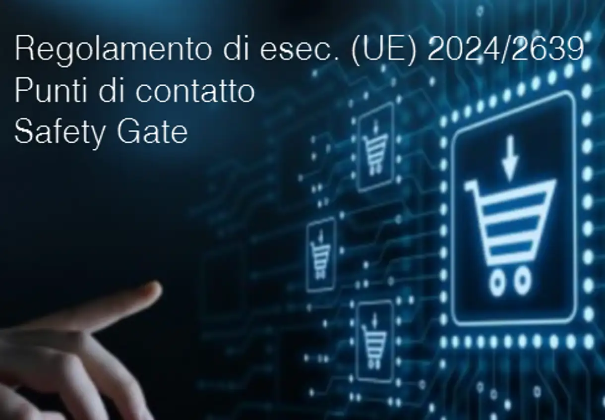 Regolamento di esec UE 2024 2639
