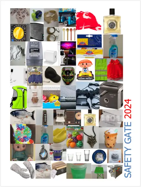 Safety Gate Report 2024 Safety Gate Report 2024