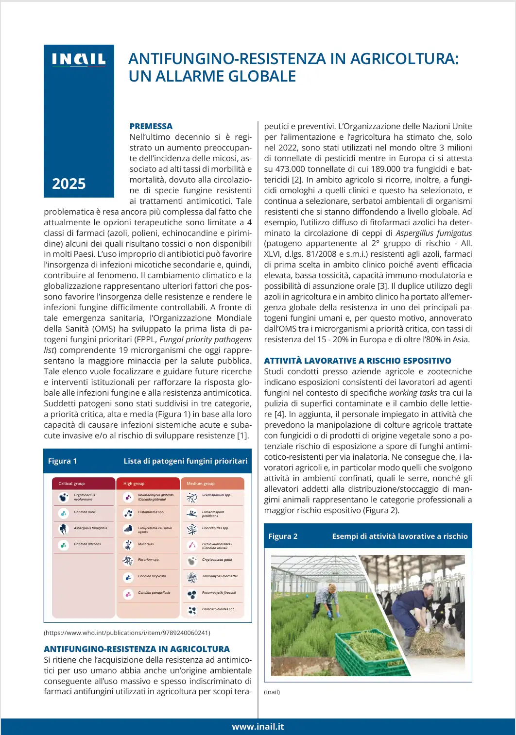 Antifungino resistenza in agricoltura un allarme globale Antifungino resistenza in agricoltura un allarme globale