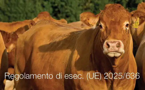 Regolamento di esecuzione UE 2025 636 Regolamento di esecuzione UE 2025 636