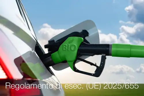 Regolamento di esecuzione  UE  2025 655