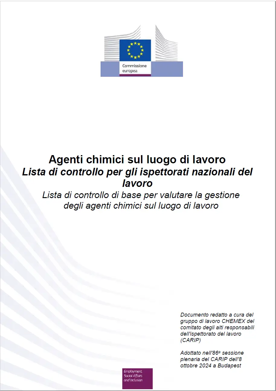 Lista di controllo di base per valutare la gestione degli agenti chimici sul luogo di lavoro Lista di controllo di base per valutare la gestione degli agenti chimici sul luogo di lavoro