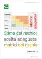 Stima del rischio   scelta delle matrici del rischio