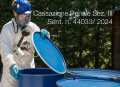 Cassazione Penale Sez  III Sent  n  44033 del 3 dicembre 2024