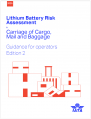 Guidance on Lithium Battery Risk in Air Transport IATA 2025