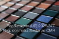 Regolamento  UE  2025 877