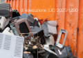 Regolamento di esecuzione  UE  2025 1290