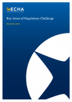 Key Areas of Regulatory Challenge