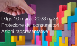 Decreto legislativo 10 marzo 2023 n  28
