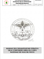 Manuale organizzazione operativa componente aerea del corpo nazionale dei vigili del fuoco