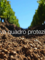 Direttiva quadro per la protezione del suolo