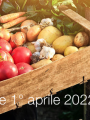 Legge 1  aprile 2022 n  30