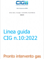 Linee guida CIG n  10  2022