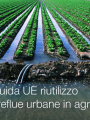 Linee guida UE riutilizzo acque reflue urbane in agricoltura