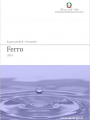 Parametri indicatori qualit  nelle acque   Ferro