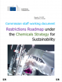Restrictions Roadmap under the Chemicals Strategy for Sustainability