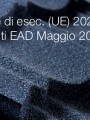Decisione di esecuzione UE 2023 910   Documenti EAD Maggio 2023