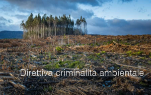 Direttiva criminalit  ambientale
